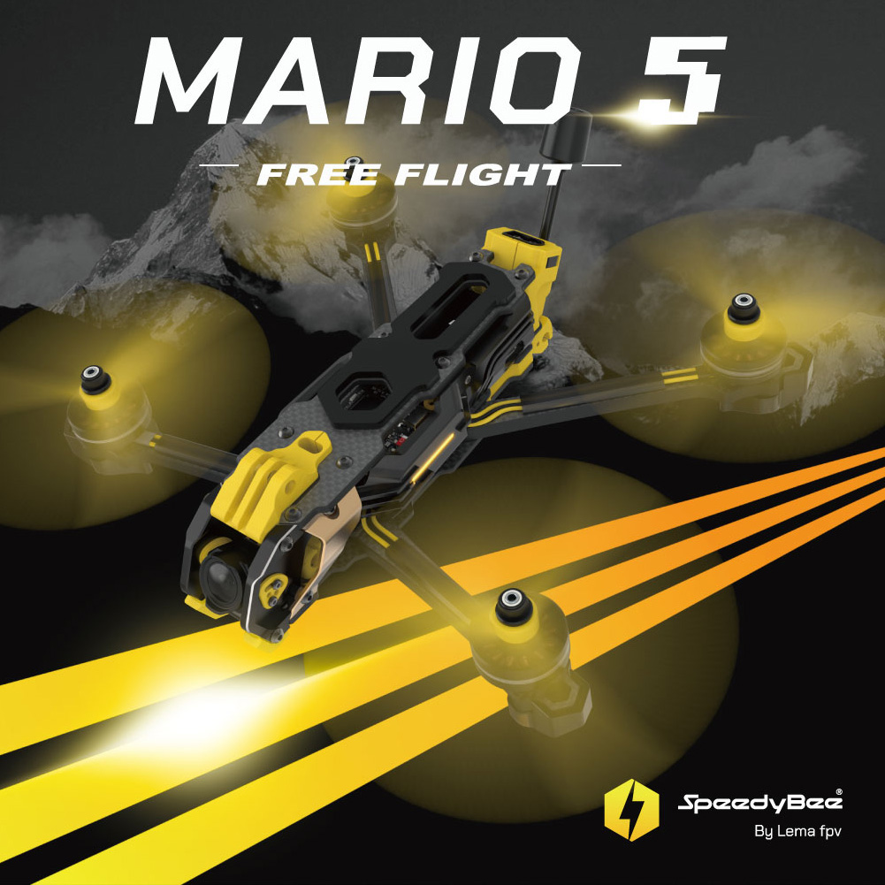 SpeedyBee Mario 5 Frame 5 inch - огляд і ціна Skyzone Sky04O Pro Fpv Goggles